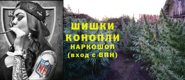 винт Арсеньев