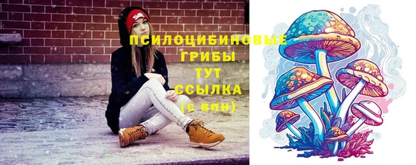 винт Арсеньев