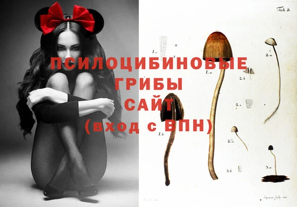 винт Арсеньев