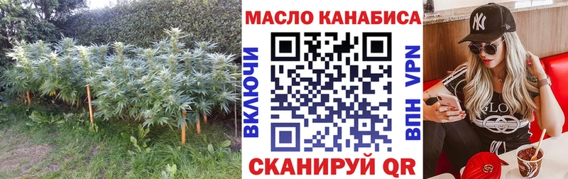 Купить закладки  Строитель  Дистиллят ТГК жижа 
