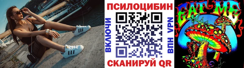 Псилоцибиновые грибы прущие грибы  Купить где  Строитель 